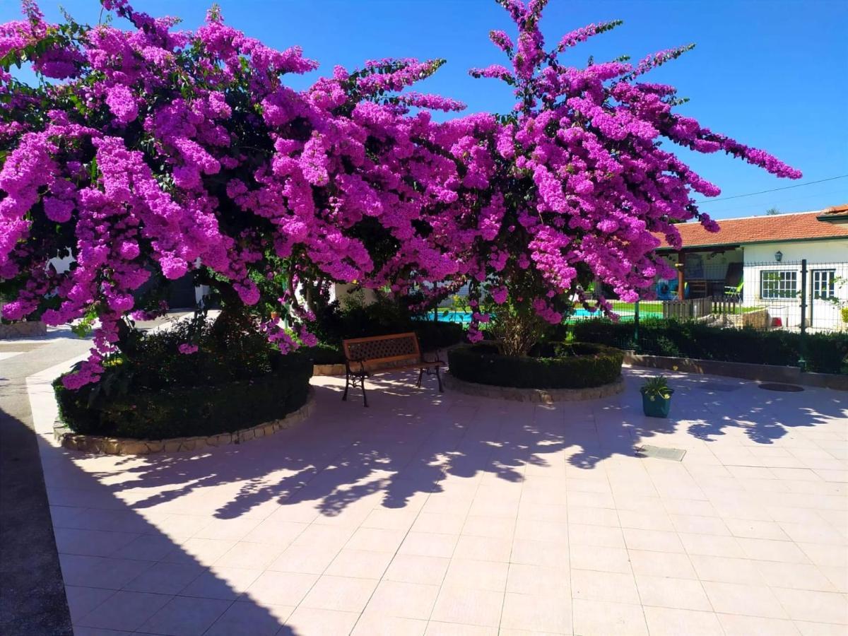 Qm - Quinta Da Morgadinha - Casa Em Quinta Rural Villa Cabecos Dış mekan fotoğraf