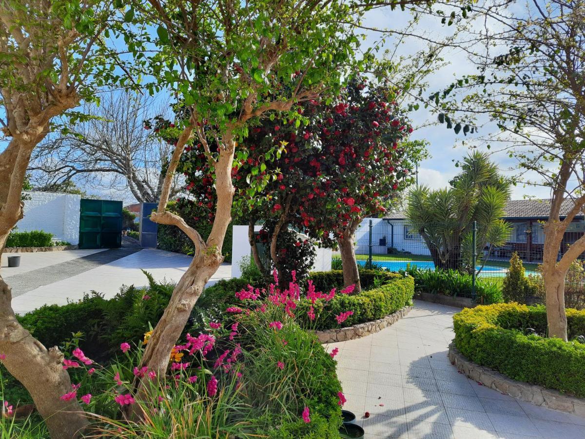 Qm - Quinta Da Morgadinha - Casa Em Quinta Rural Villa Cabecos Dış mekan fotoğraf