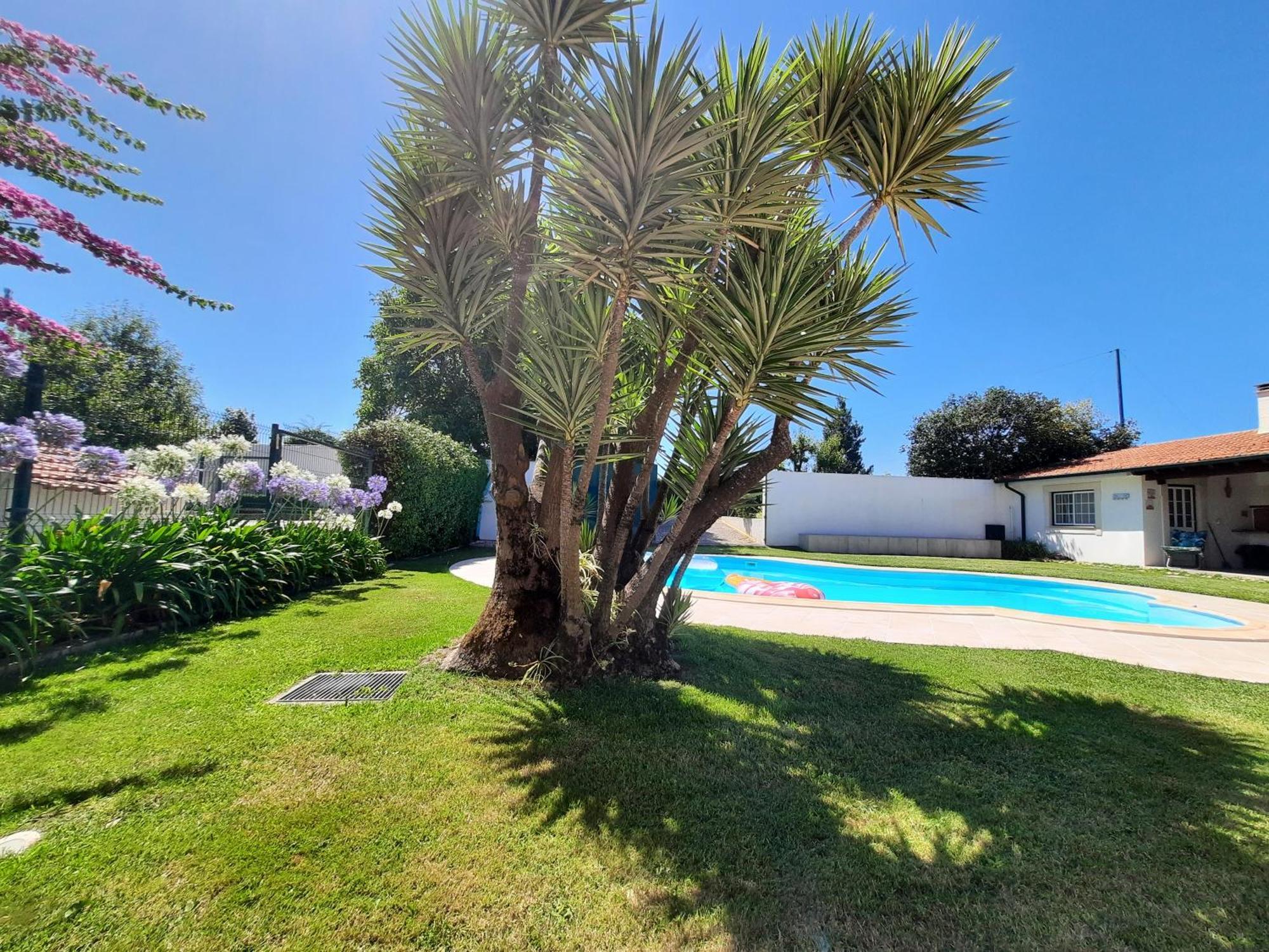 Qm - Quinta Da Morgadinha - Casa Em Quinta Rural Villa Cabecos Dış mekan fotoğraf
