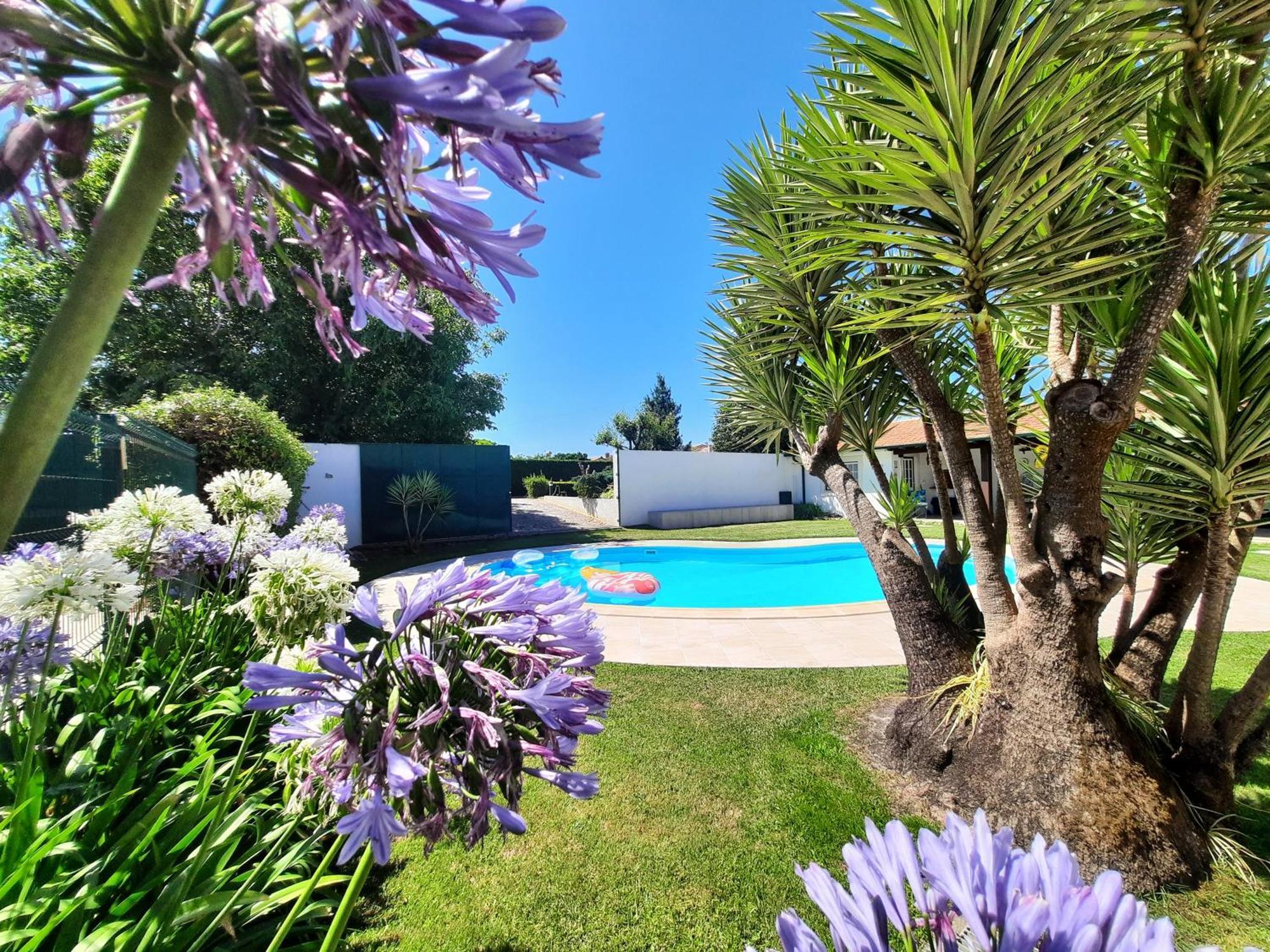 Qm - Quinta Da Morgadinha - Casa Em Quinta Rural Villa Cabecos Dış mekan fotoğraf