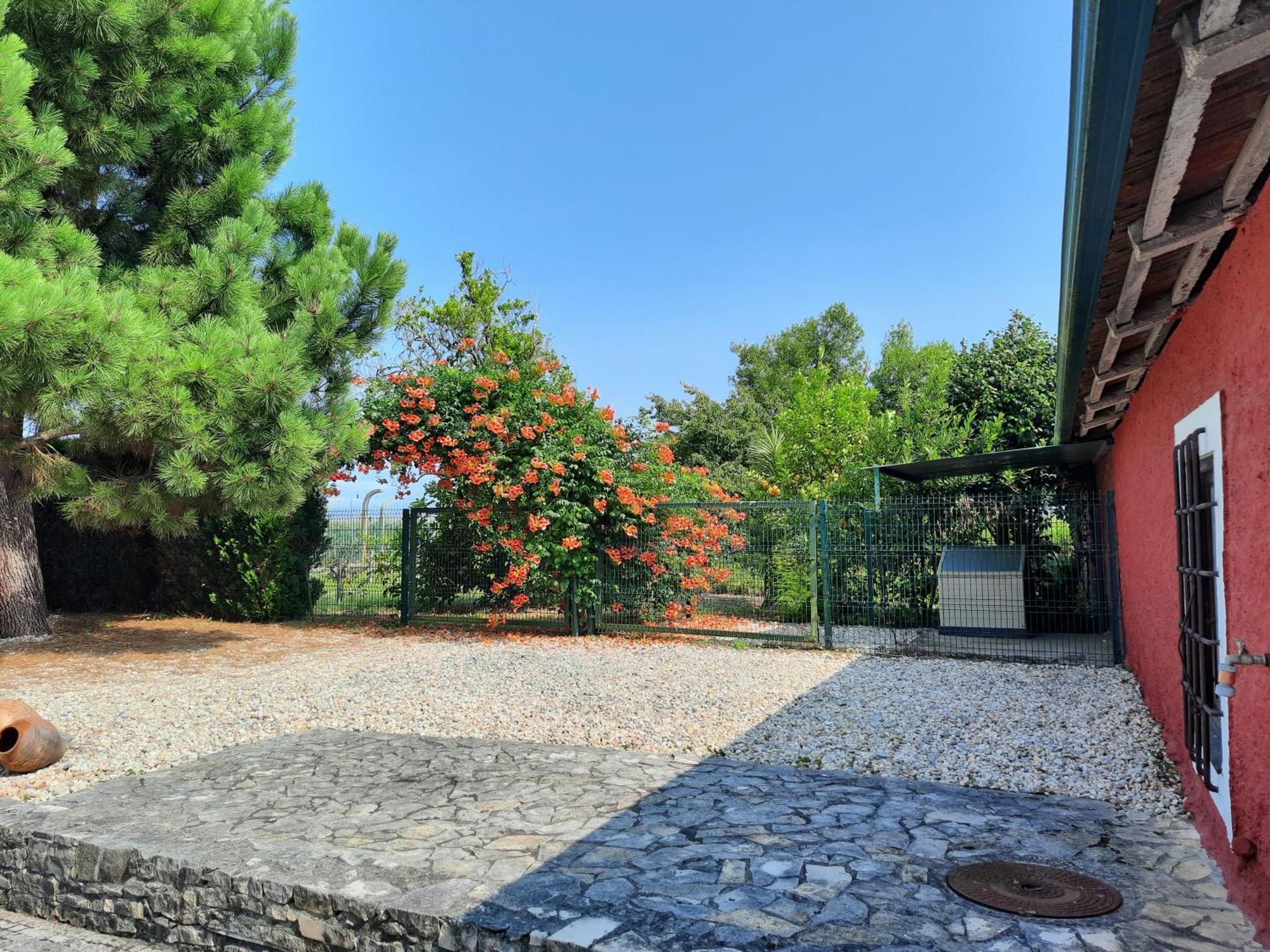 Qm - Quinta Da Morgadinha - Casa Em Quinta Rural Villa Cabecos Dış mekan fotoğraf